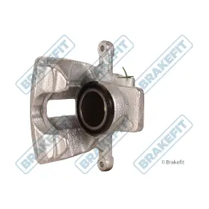 BCA1099 APEC