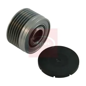 AOP1128 APEC
