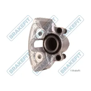BCA1309 APEC