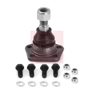 AST0192 APEC