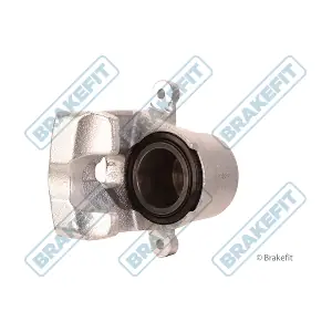 BCA1199 APEC