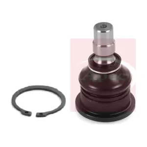 AST0272 APEC