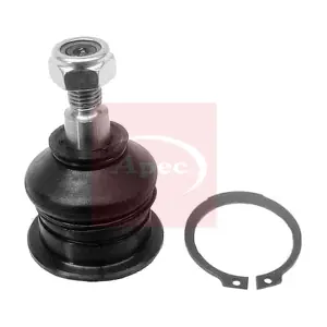 AST0160 APEC