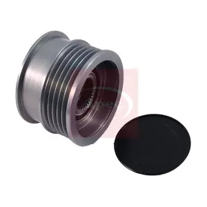 AOP1110 APEC