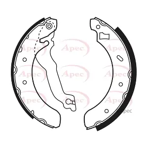 SHU 493 APEC