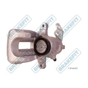 BCA1161 APEC