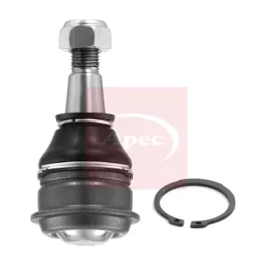 AST0209 APEC