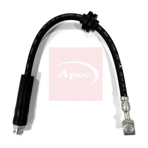 HOS4555 APEC
