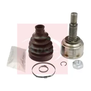 ACV1151 APEC