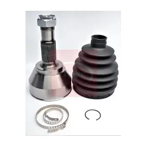 ACV1253 APEC
