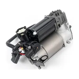 P3884 Arnott