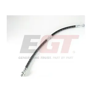 390198EGT EGT