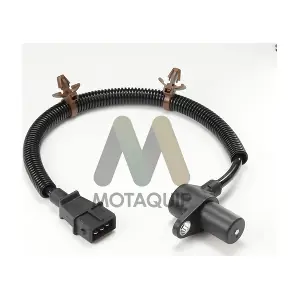 LVRC365 MOTAQUIP
