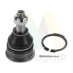 LVSJ1298 MOTAQUIP