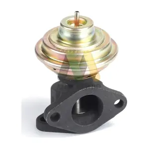 LVER229 MOTAQUIP