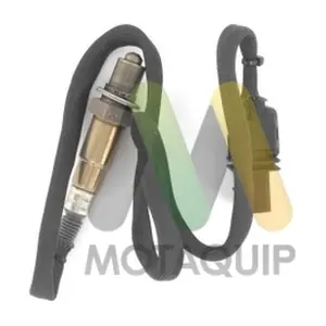 LVOS1869 MOTAQUIP