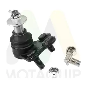 LVSJ1292 MOTAQUIP
