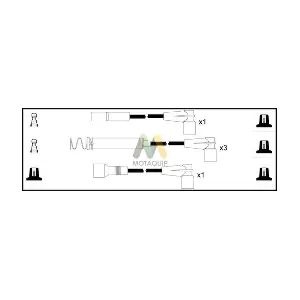 LDRL1119 MOTAQUIP