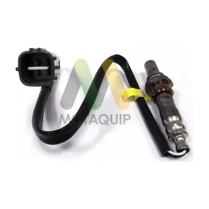LVOS1562 MOTAQUIP