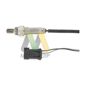 LVOS1299 MOTAQUIP