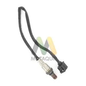 LVOS1354 MOTAQUIP