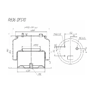 R836DFS10 ROSTAR