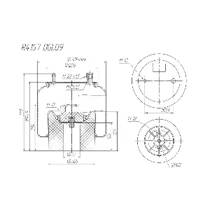 R4157DGL09 ROSTAR