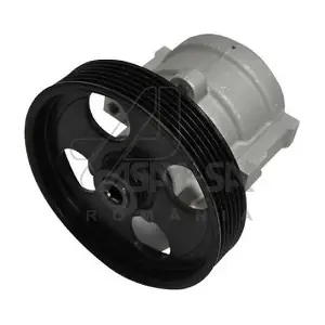 30619 ASAM AUTOMOTIVE