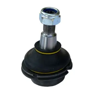 80568 ASAM AUTOMOTIVE