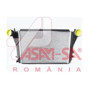 32421 ASAM AUTOMOTIVE