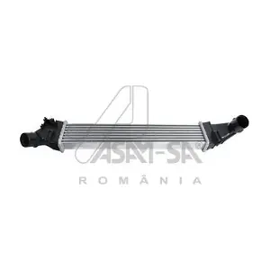 30592 ASAM AUTOMOTIVE