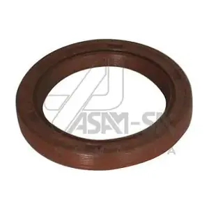 30420 ASAM AUTOMOTIVE