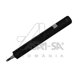 50101 ASAM AUTOMOTIVE