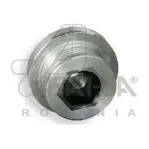 30316 ASAM AUTOMOTIVE
