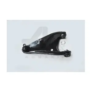 30119 ASAM AUTOMOTIVE