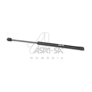 30230 ASAM AUTOMOTIVE