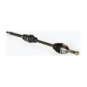 75724 ASAM AUTOMOTIVE
