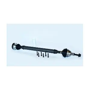 75804 ASAM AUTOMOTIVE