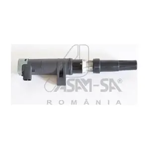 30472 ASAM AUTOMOTIVE