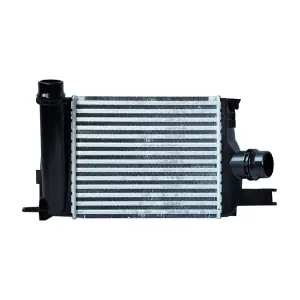 80261 ASAM AUTOMOTIVE