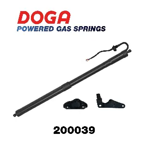 200039 DOGA
