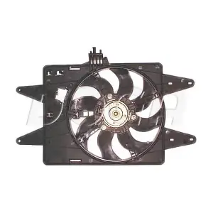 EFI141 DOGA