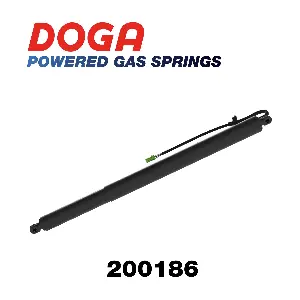 200186 DOGA