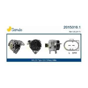 20153161 SANDO