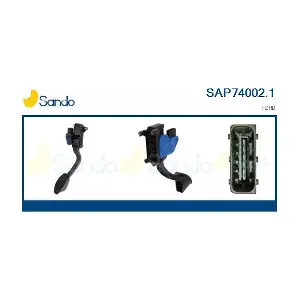 SAP74002.1 SANDO