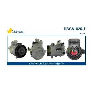 SAC81020.1 SANDO