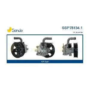SSP78134.1 SANDO