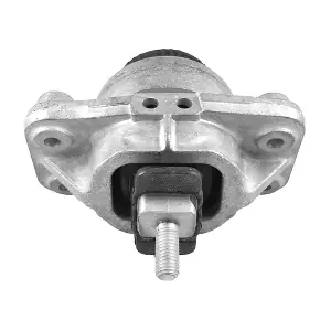 TED97635 TEDGUM