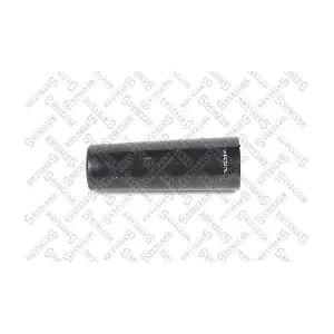11-17034-SX STELLOX