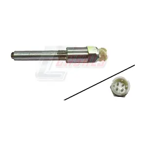 65141 CASALS